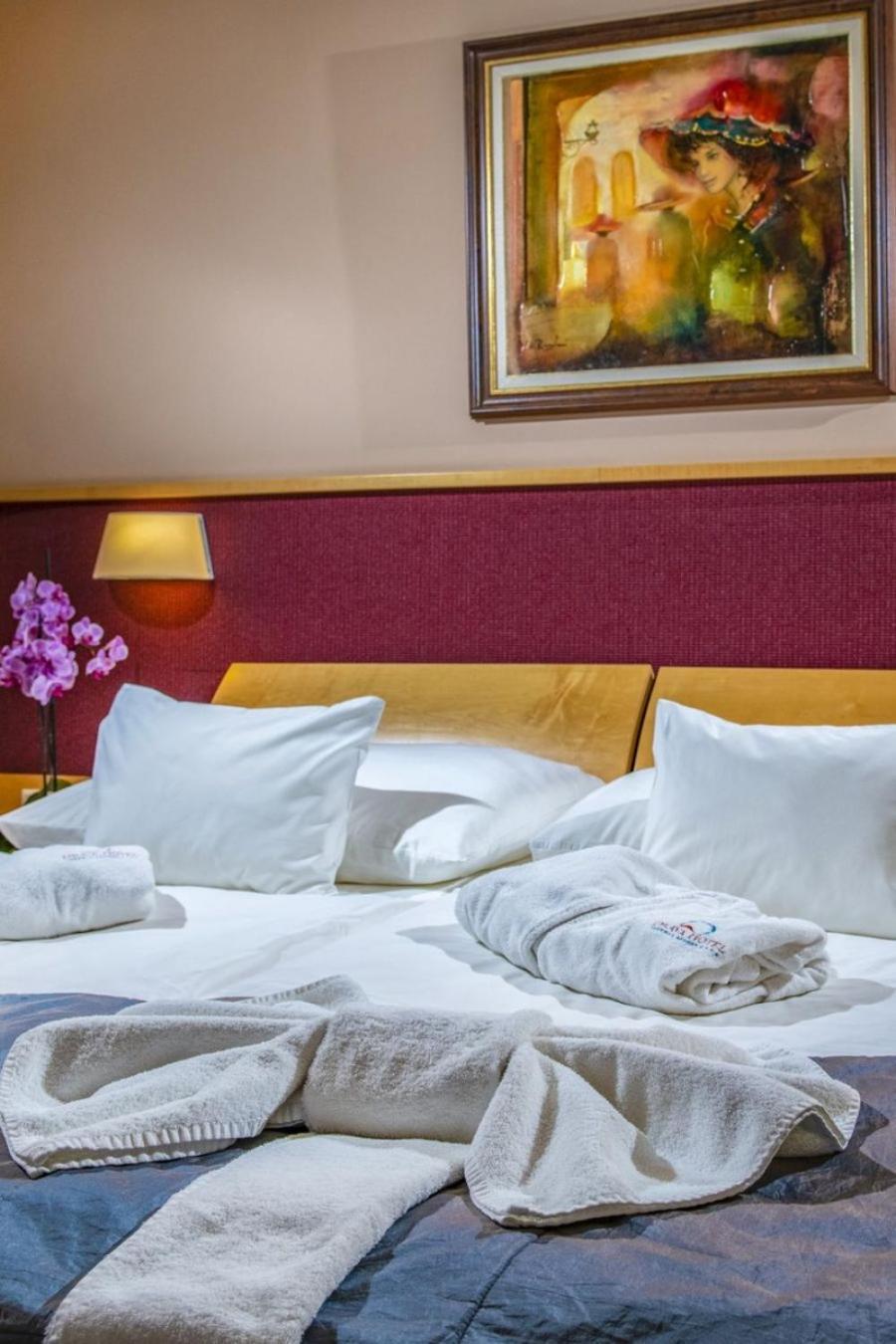 Drava Thermal Hotel 4*